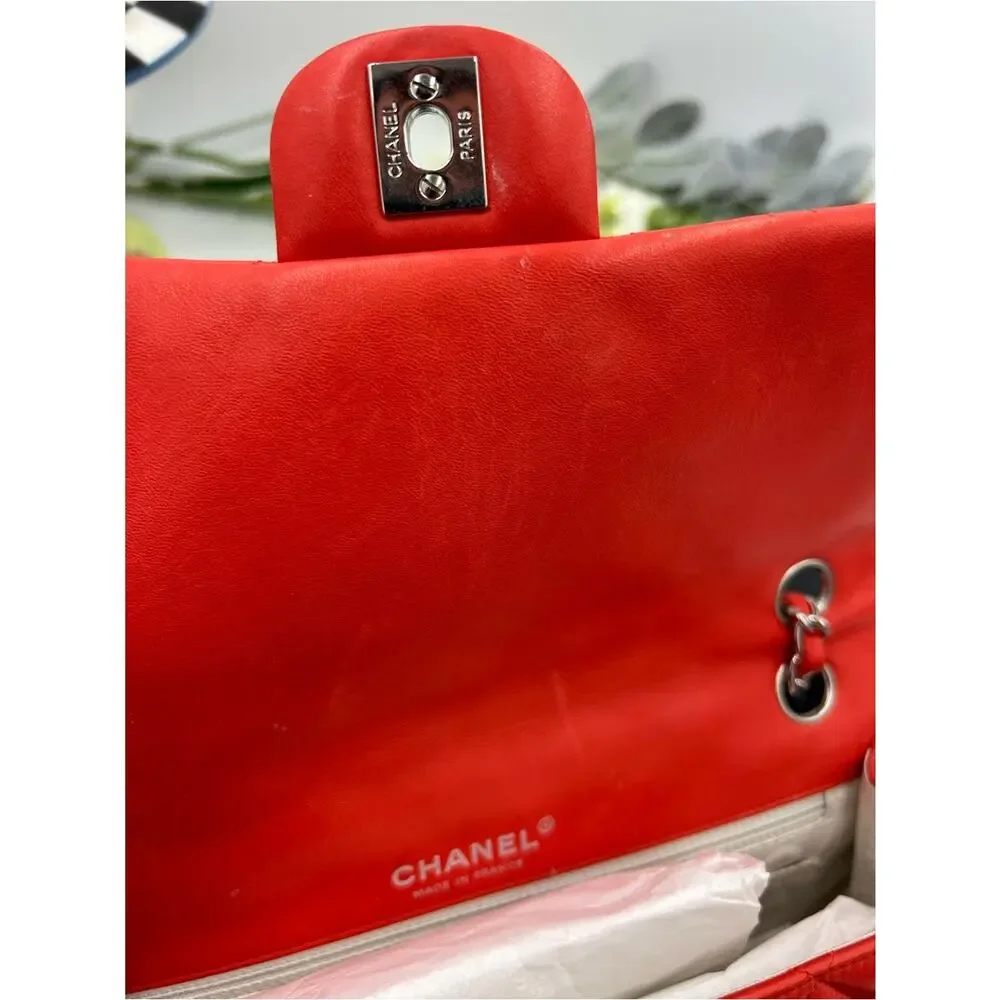 Women's Chanel MATELASSE lambskin shoulder Bag ladybug, and strawberry charms.